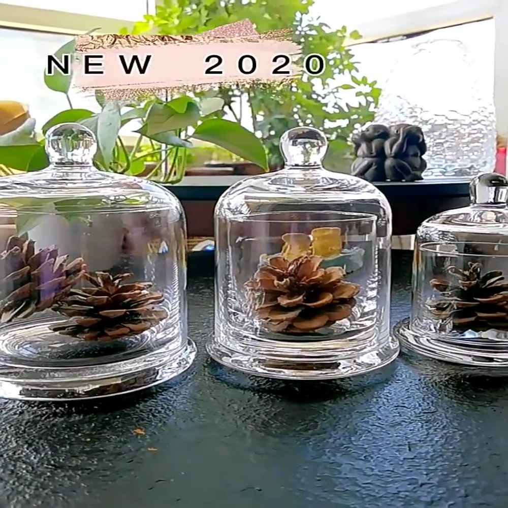 وعاء زجاجي للتخزين، زهرة الحيا - مراجعة Food Storage In Plants وسعره